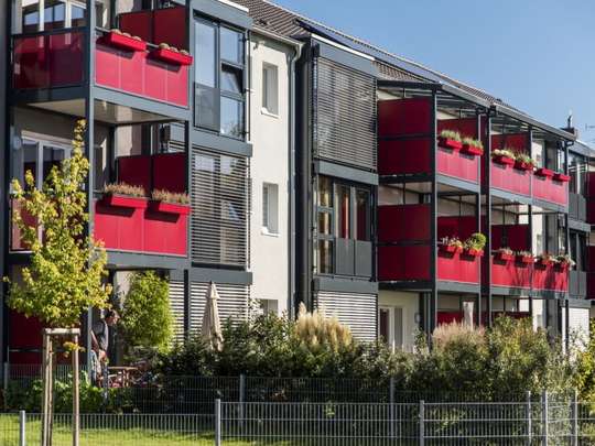 Rückseite